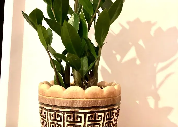 Osapart In A Complex Semycvit דירה *